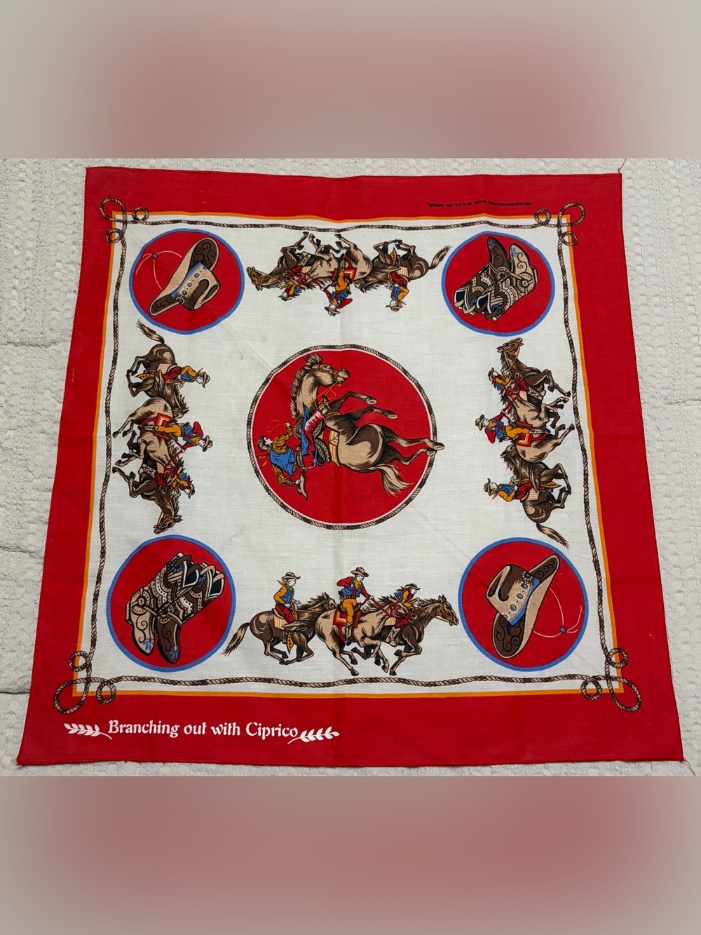 “Branching out with Ciprico” vintage western bandana